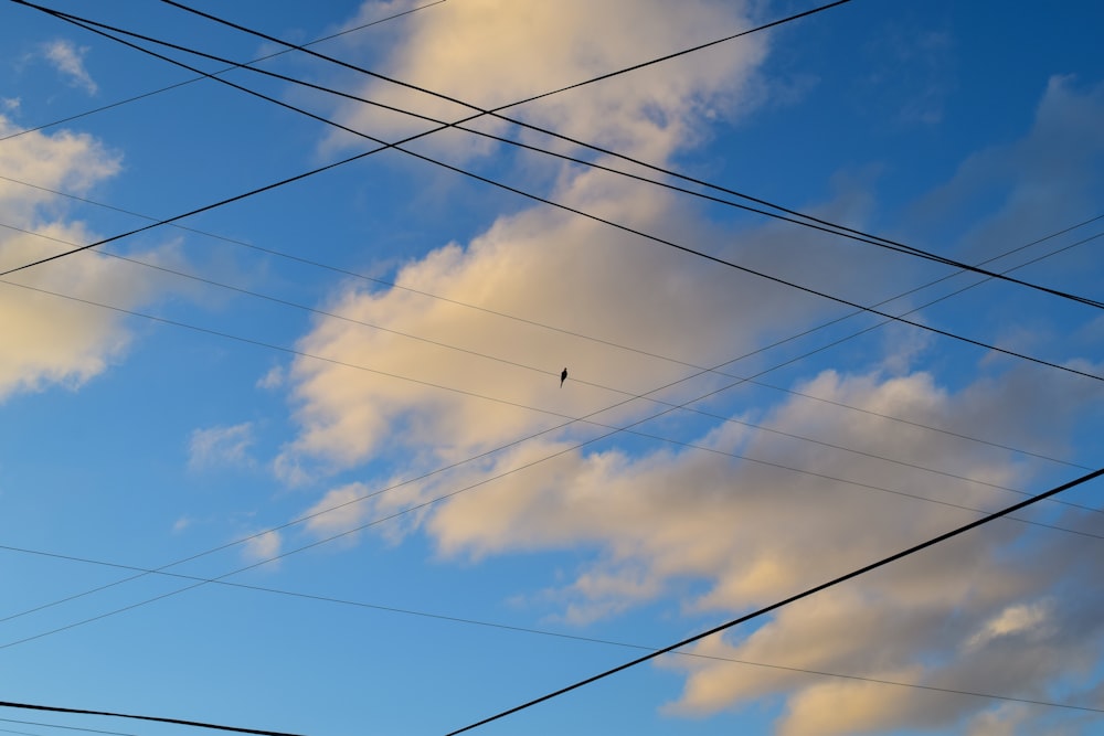 Schwarze elektrische Drähte unter blauem Himmel während des Tages