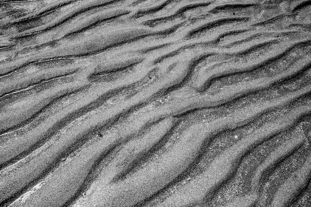 Line In Sand Pictures | Download Free Images on Unsplash