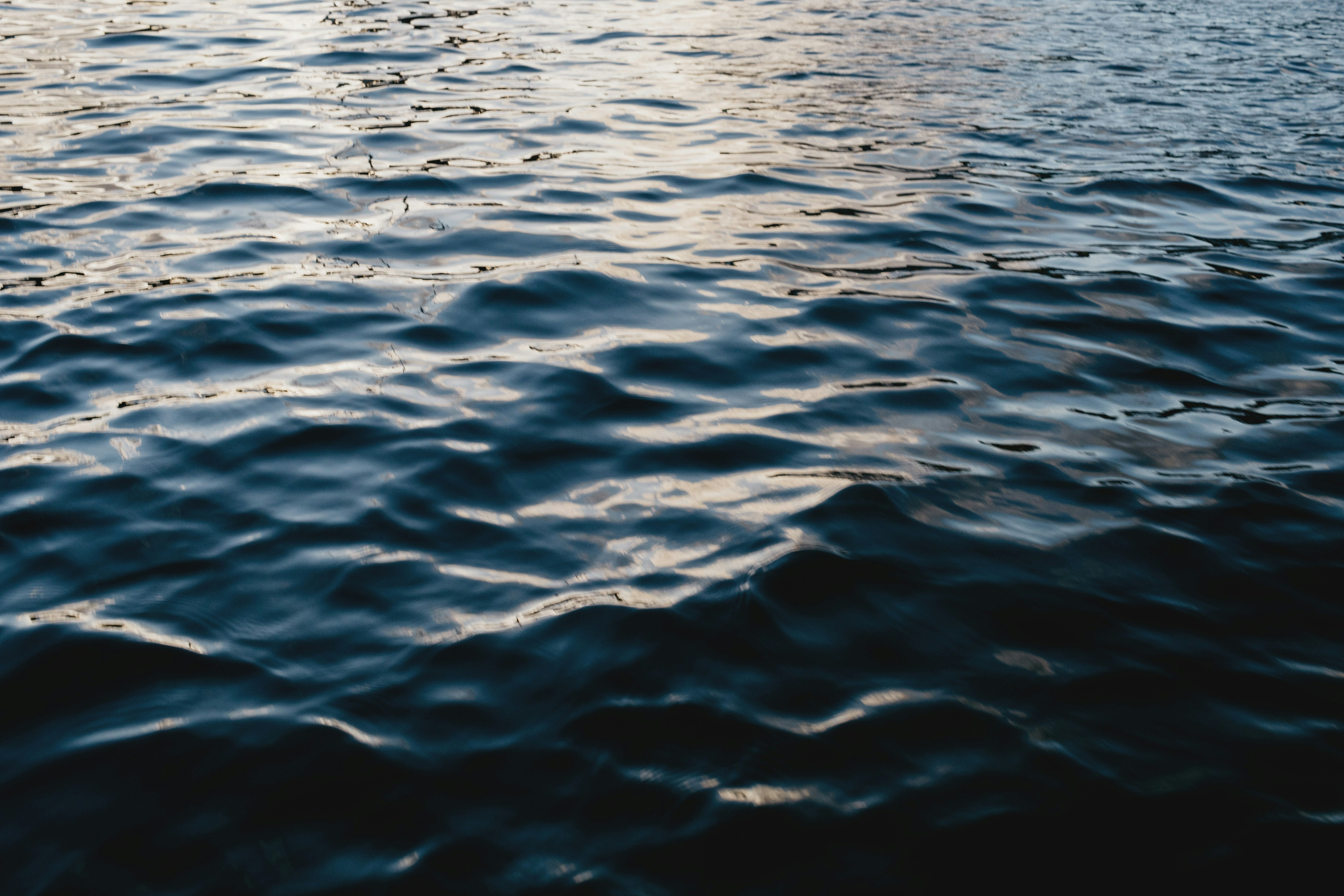 body of water during daytime