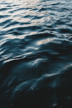 close up photo of body of water