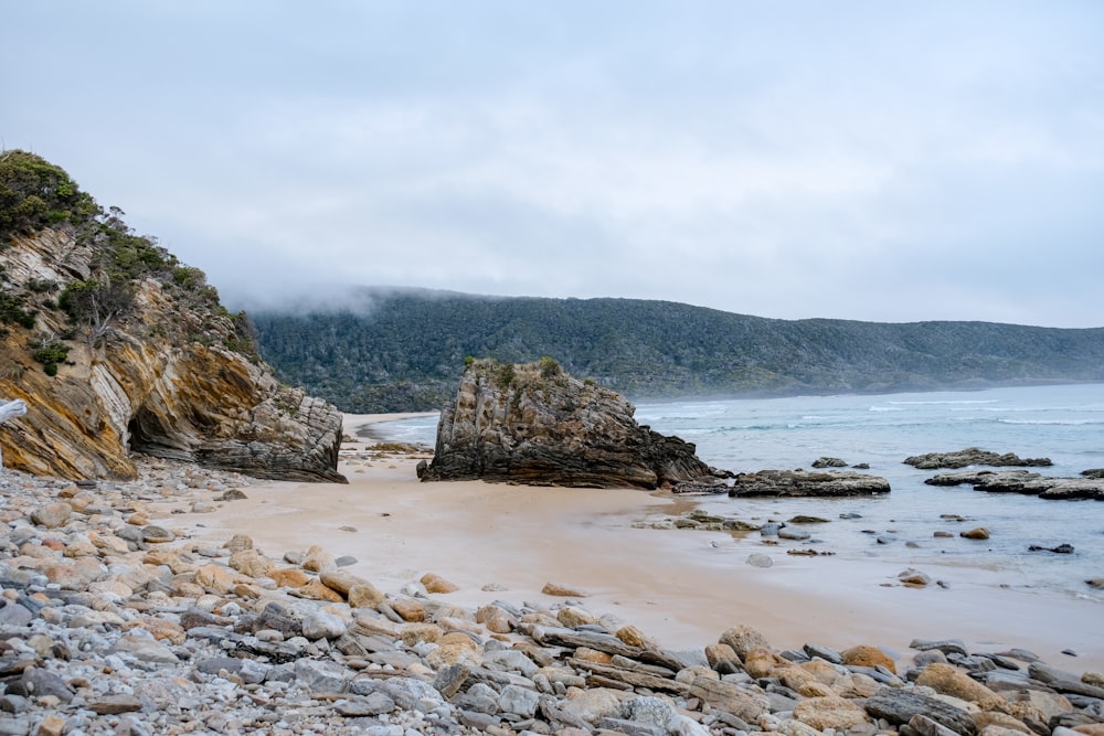 brown rock formation on sea shore during daytime