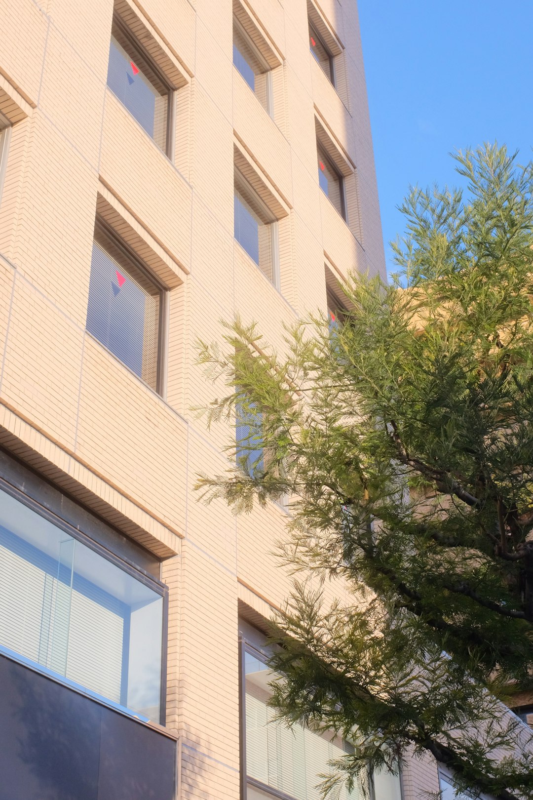 green tree beside beige concrete building