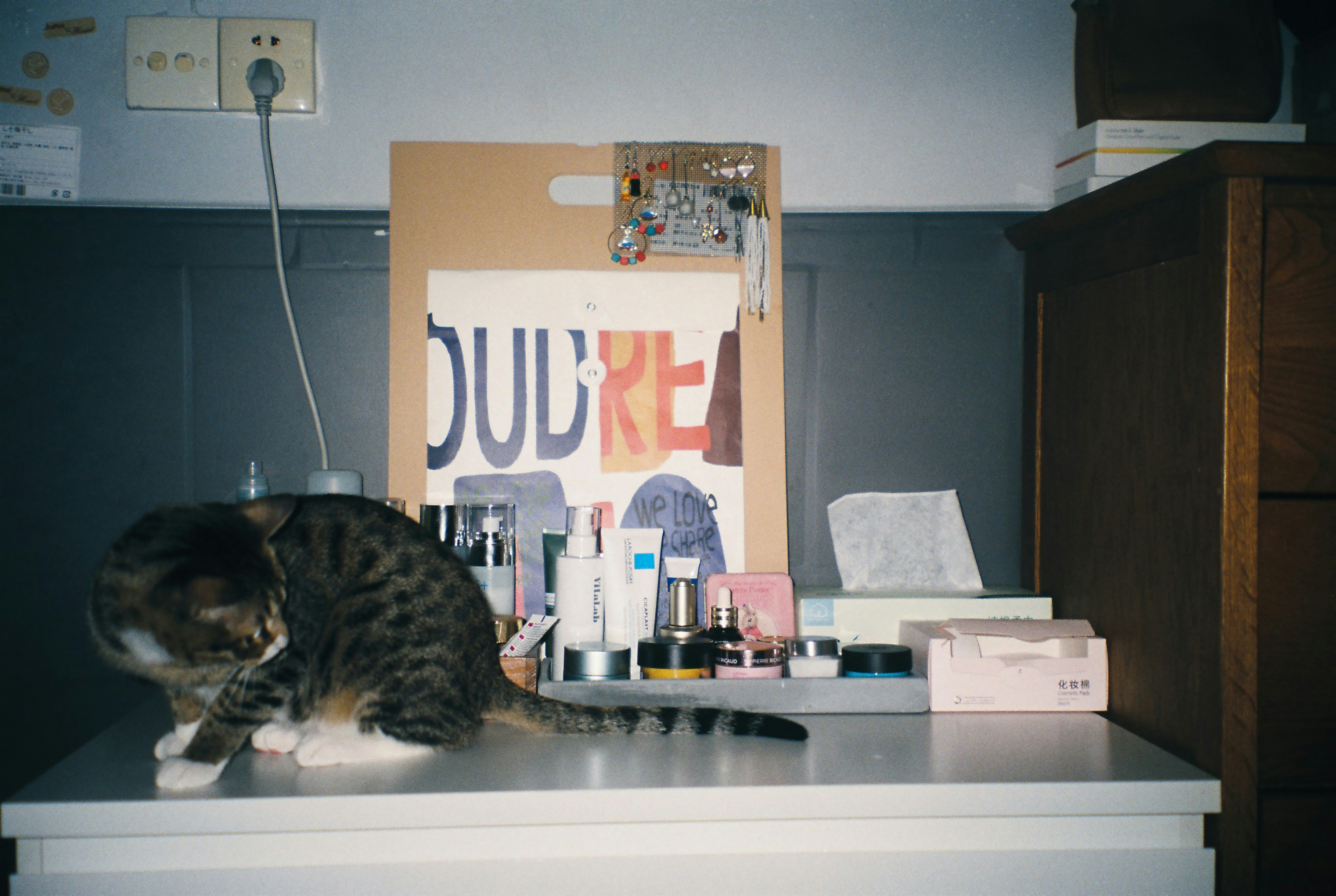 Pawsnexus clinic reception