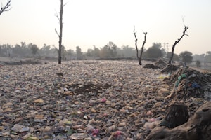 Global Hunger Crisis Worsens Amid Climate and Economic Pressures?