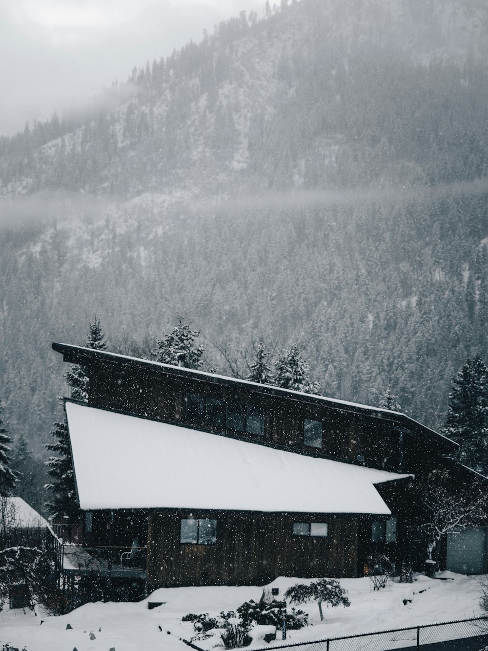 white and black house near trees during daytime