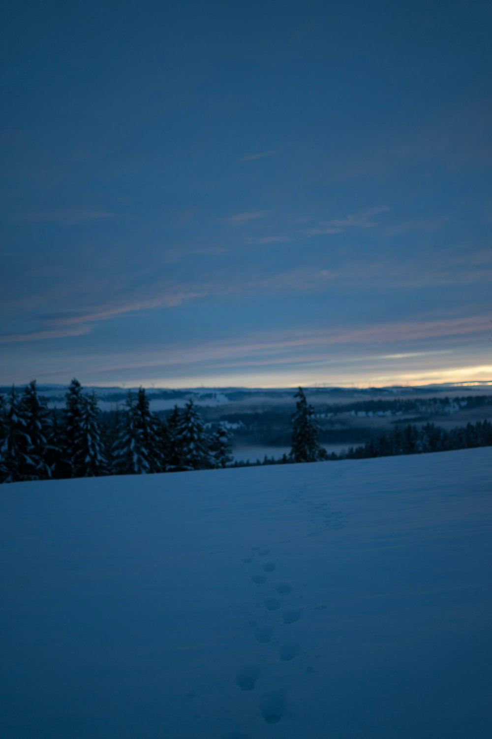 campo cubierto de nieve y árboles bajo el cielo azul durante el día