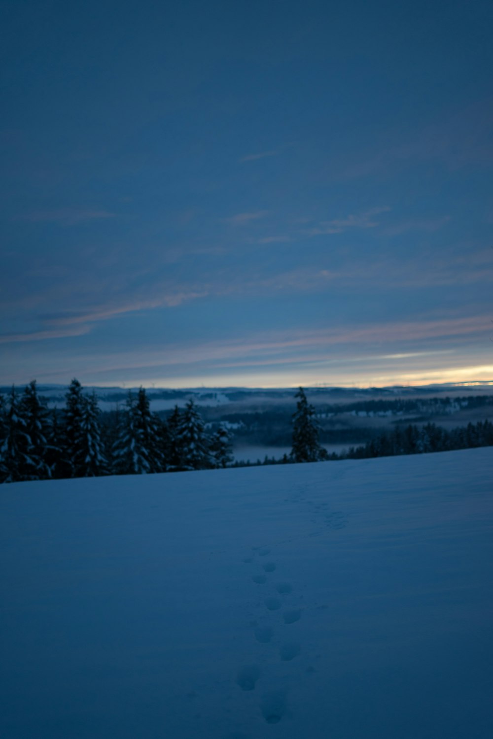 snow covered field and trees under blue sky during daytime