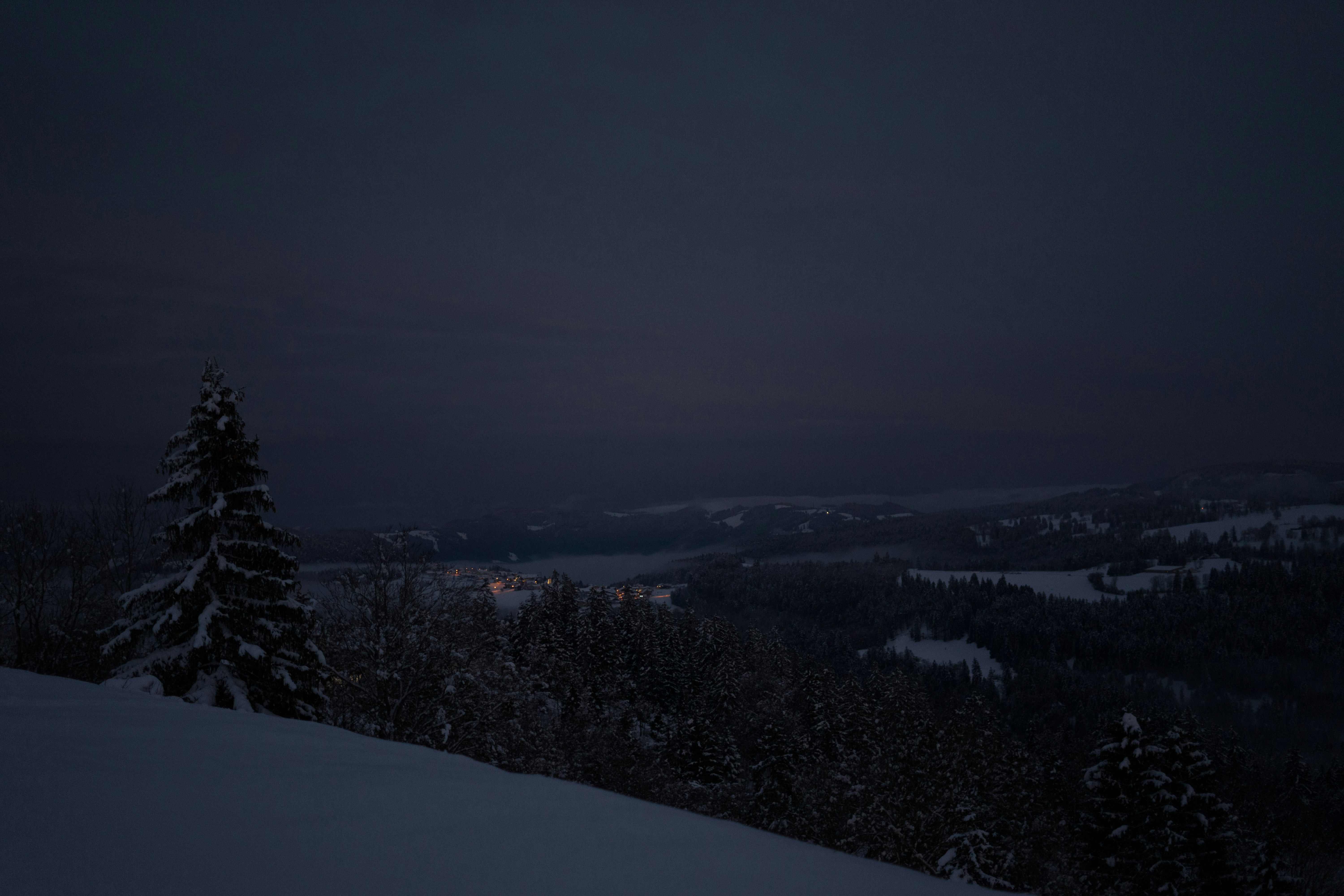 Photo by virussinside