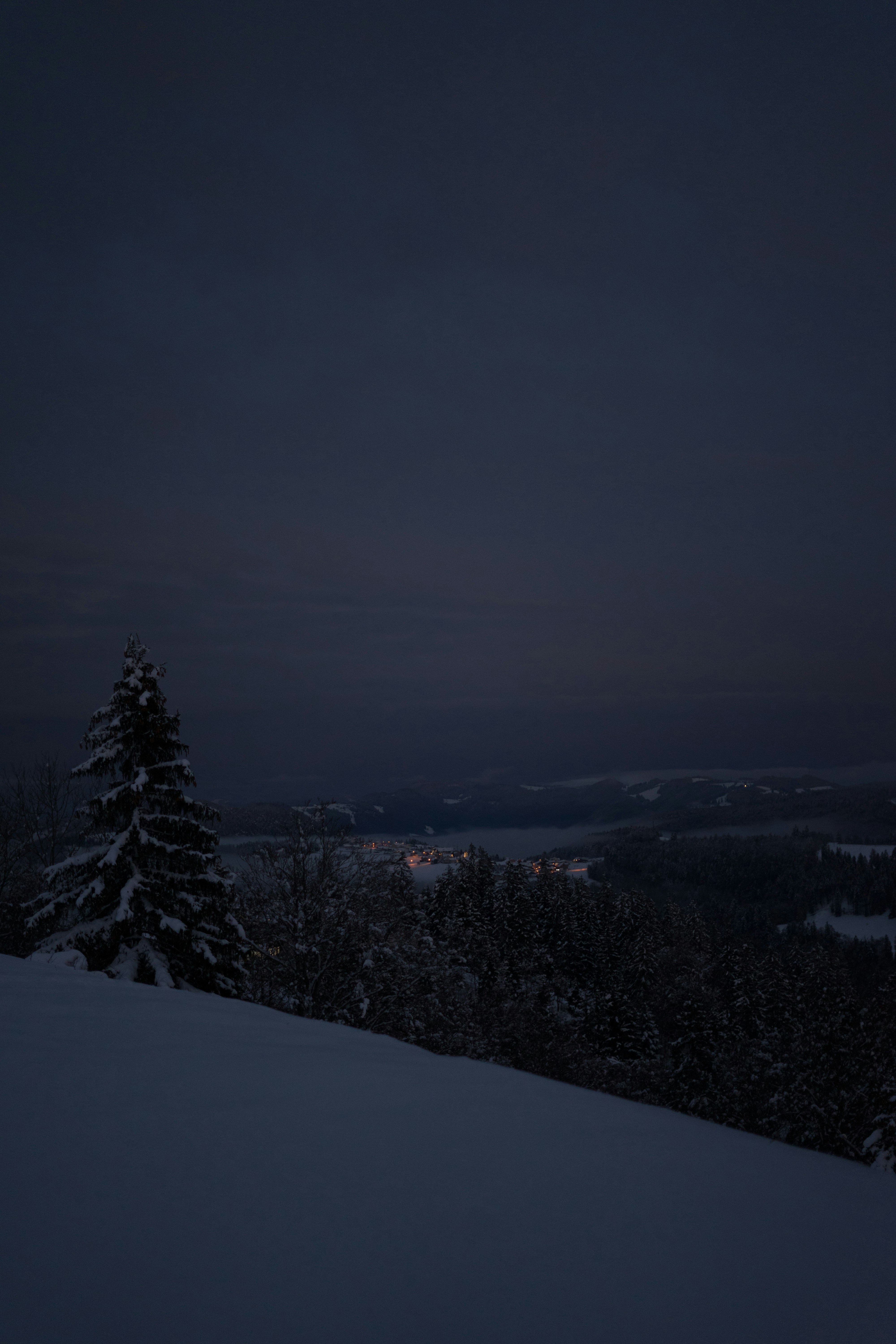 Photo by virussinside