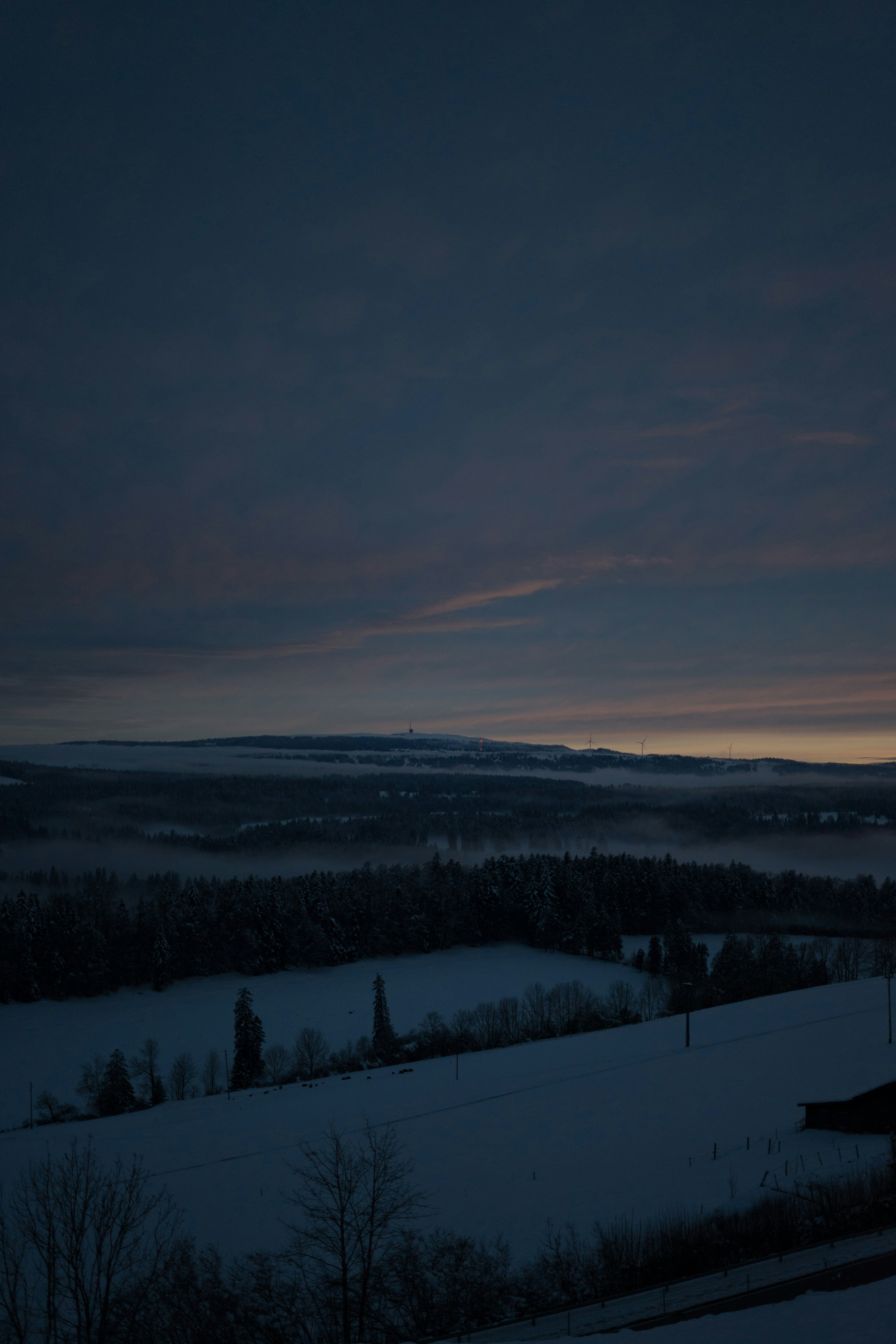 Photo by virussinside