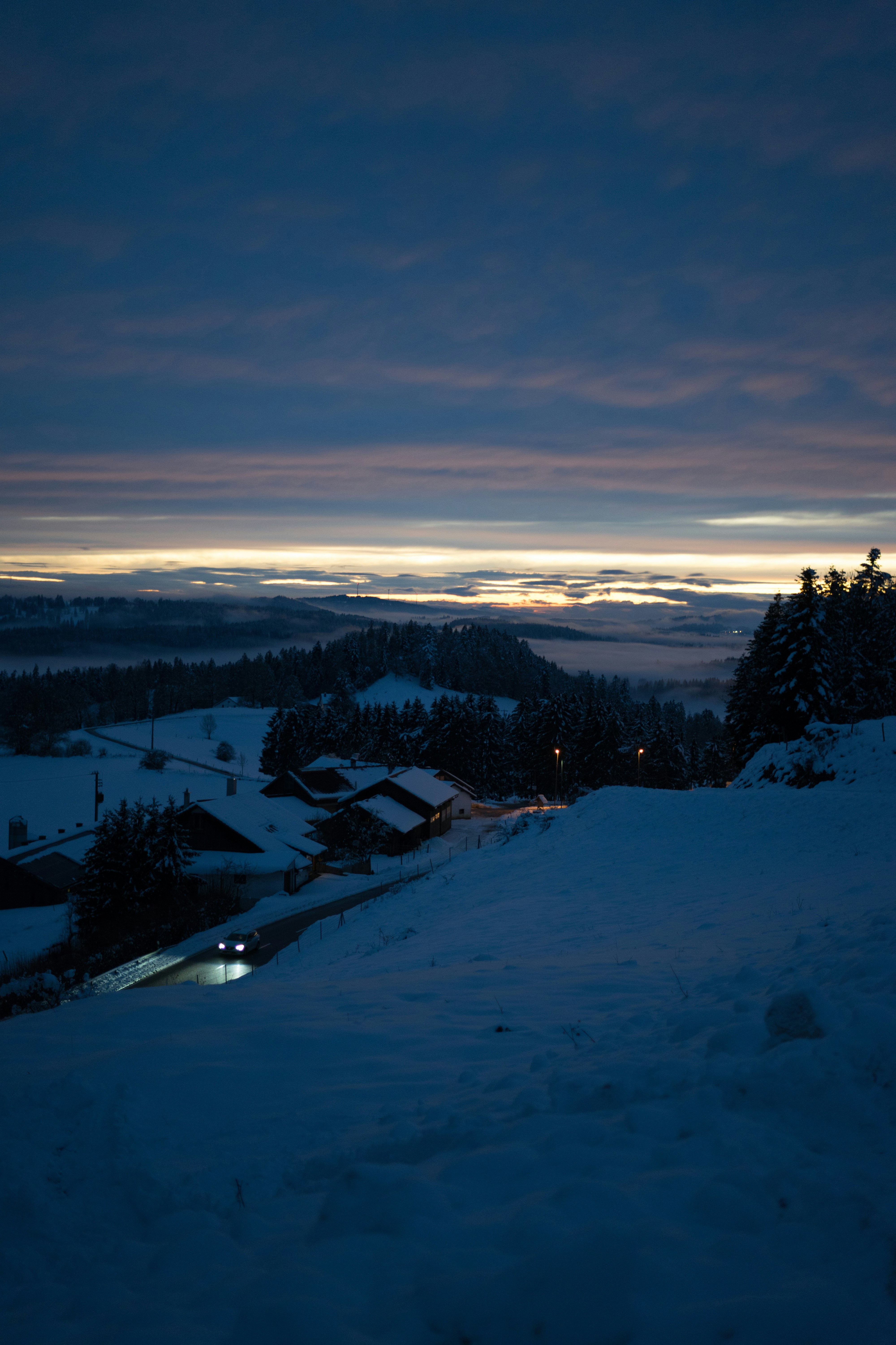 Photo by virussinside