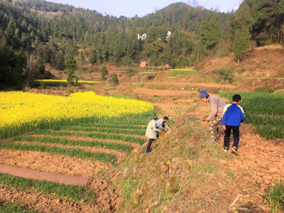 Local community members engaging in sustainable farming practices in alpine terrain.