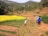 Several people are working in terraced fields surrounded by lush greenery and hills. A vibrant yellow field of flowers stands out against the green and brown earth tones. The group includes children and adults who appear to be engaged in agricultural activities.