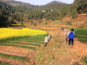 Several people are working in terraced fields surrounded by lush greenery and hills. A vibrant yellow field of flowers stands out against the green and brown earth tones. The group includes children and adults who appear to be engaged in agricultural activities.
