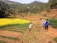 Several people are working in terraced fields surrounded by lush greenery and hills. A vibrant yellow field of flowers stands out against the green and brown earth tones. The group includes children and adults who appear to be engaged in agricultural activities.