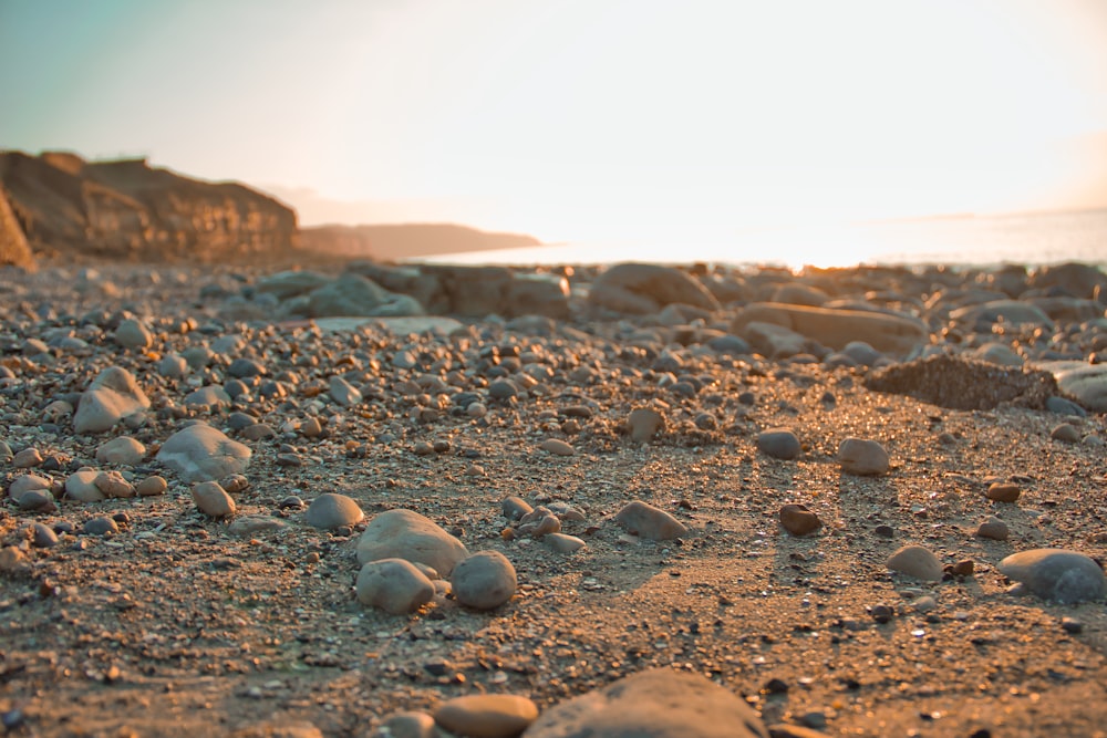 pietre grigie e nere su sabbia marrone durante il giorno