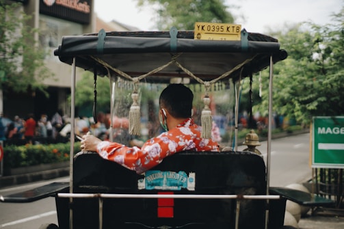 A person wearing a red, floral-patterned shirt is seated in a traditional rickshaw on a city street. The rickshaw is covered with a canopy and has a license plate attached. The background shows a street with greenery and buildings, bustling with people.