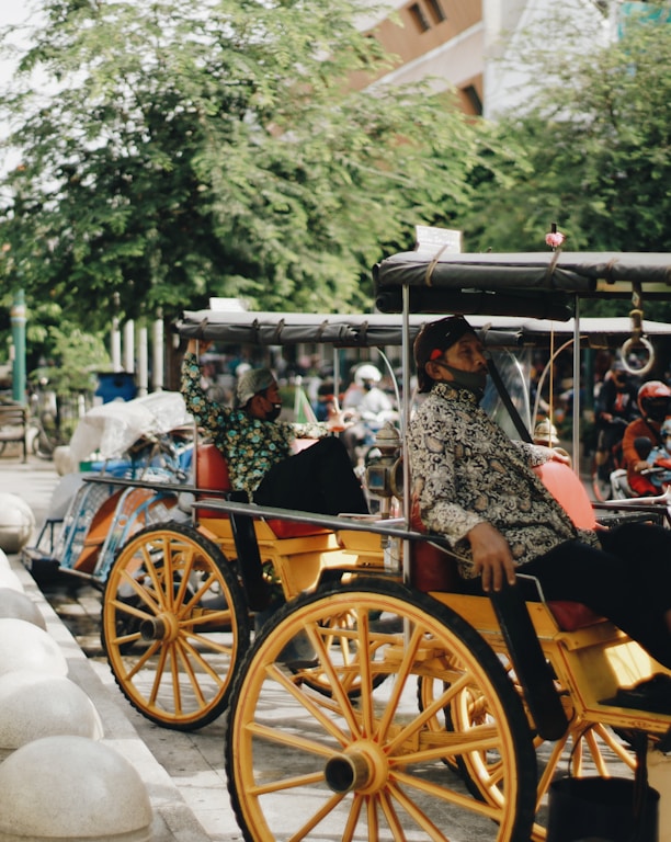 people riding on brown wooden carriage during daytime