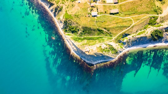 aerial view of green trees and houses beside body of water during daytime in Obzor Bulgaria