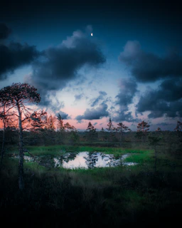 A serene moonlit lotus pond glowing softly under a midnight purple sky with gold accents.