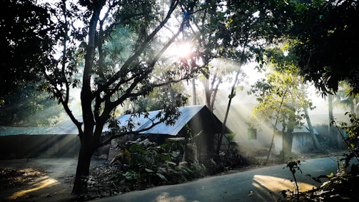Field researchers verifying data points in a rural village under soft natural light
