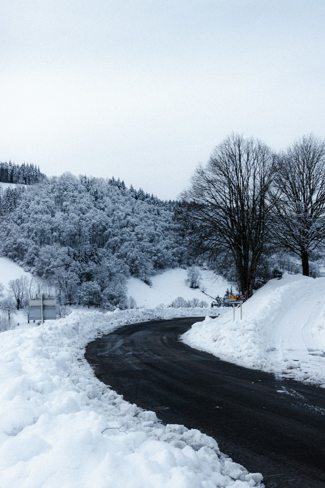 snow covered road between trees during daytime