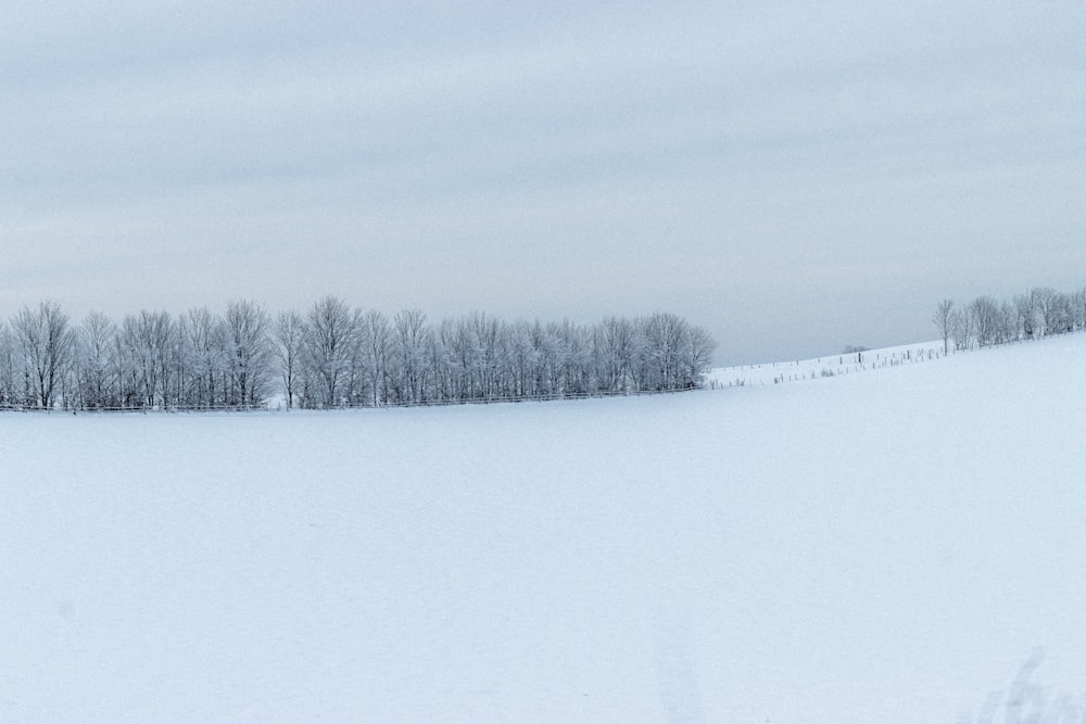 snow covered field during daytime