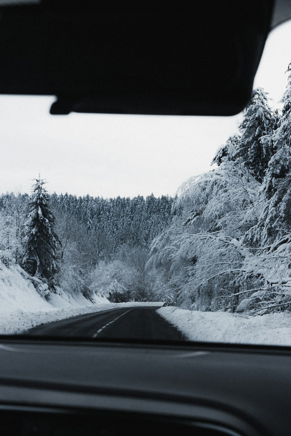 snow covered trees and road during daytime