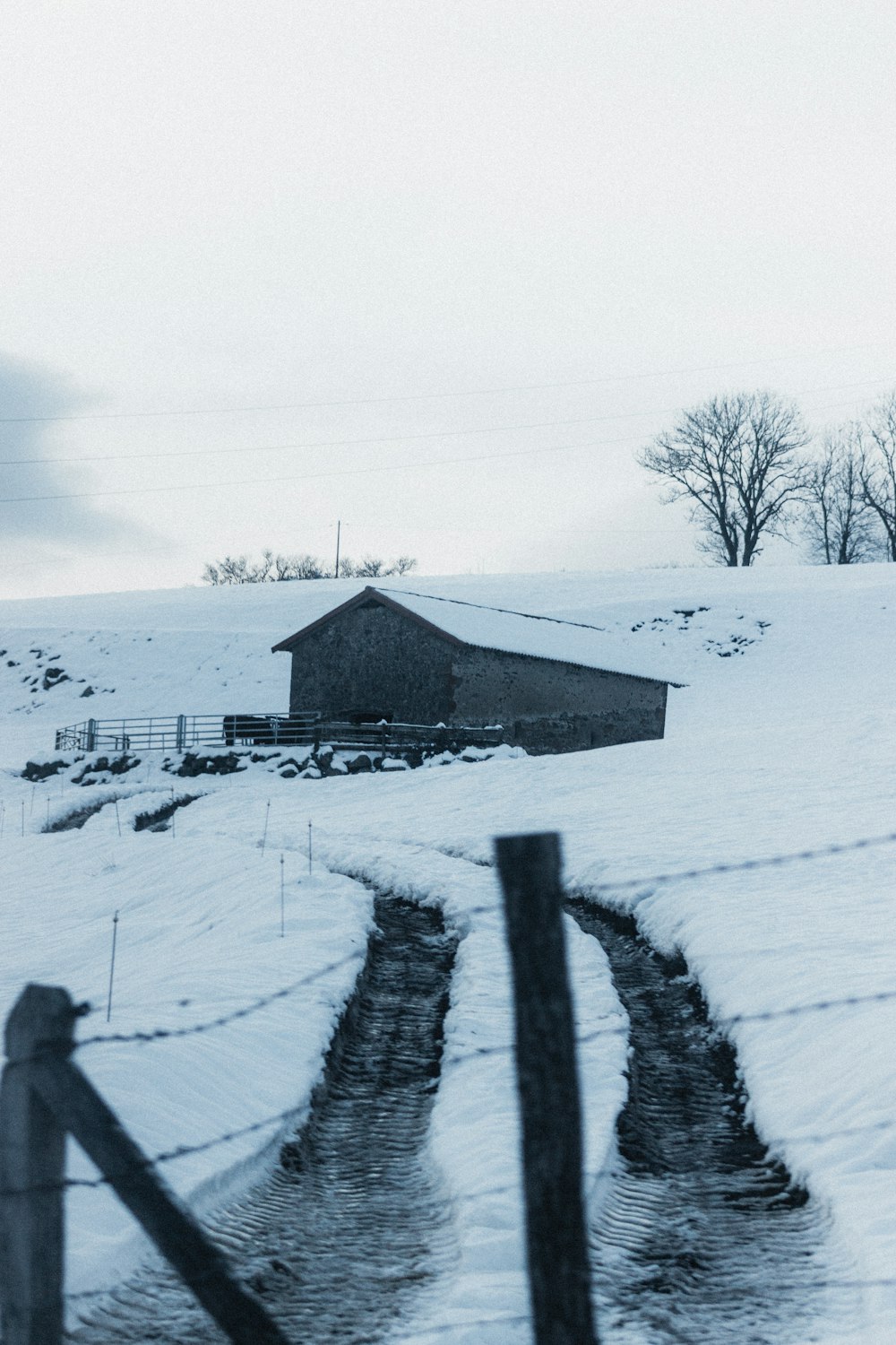 brown wooden house on snow covered ground