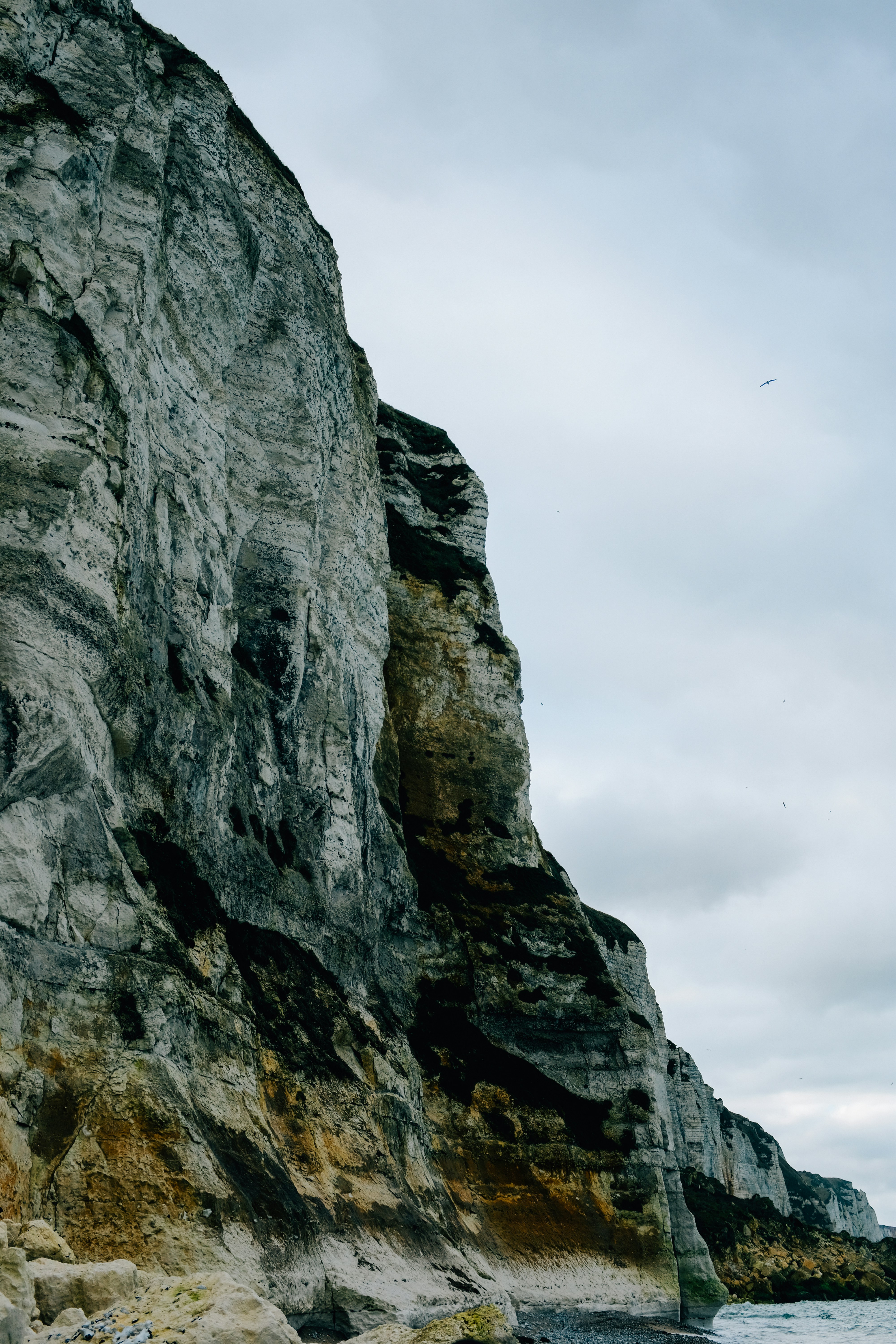 Photo by adrienolichon