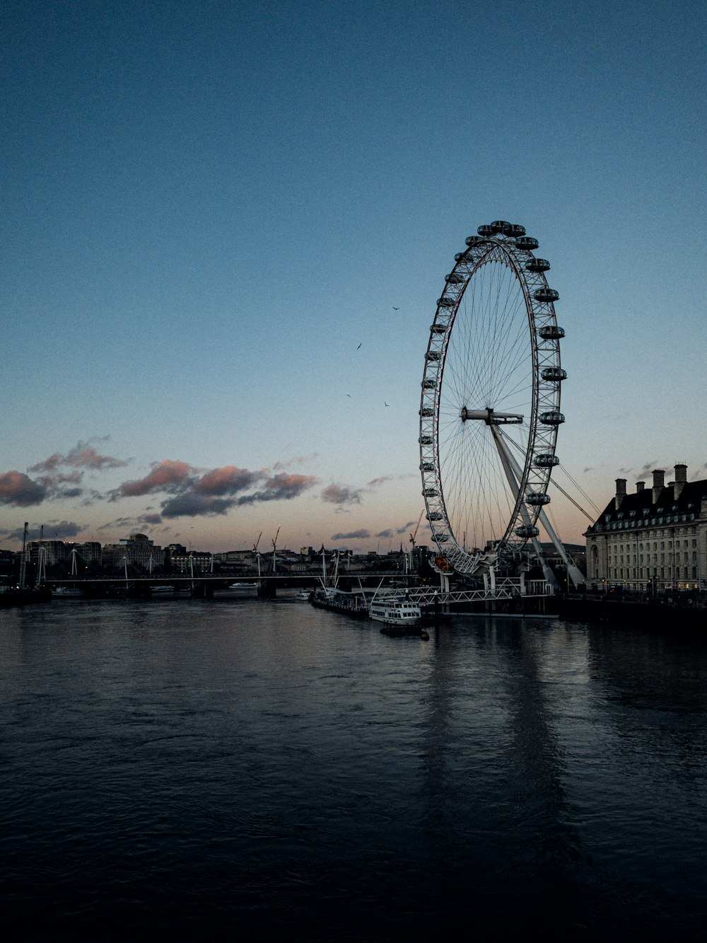 ferris wheel near body of water during daytime