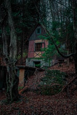 Exterior of a securely boarded vacant house nestled in the New Forest countryside.