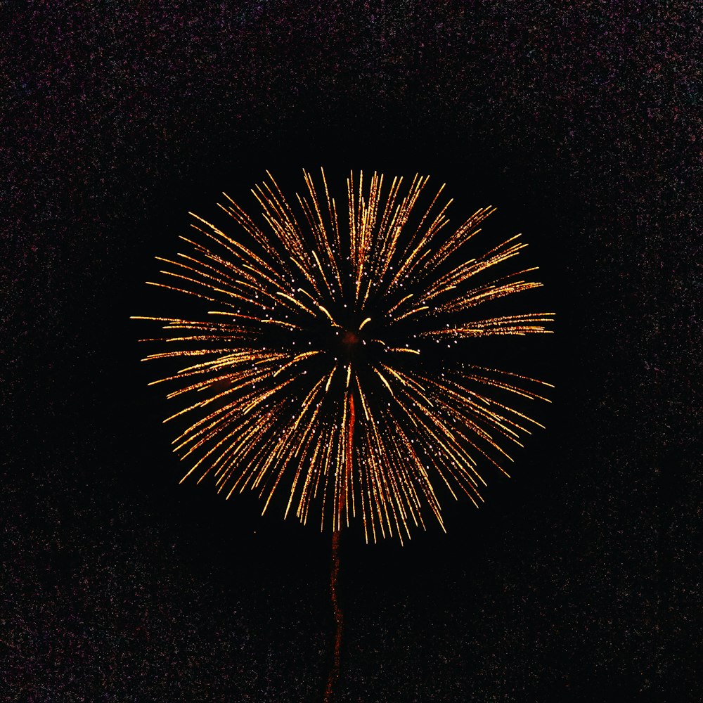 Fuegos artificiales rojos y blancos durante la noche