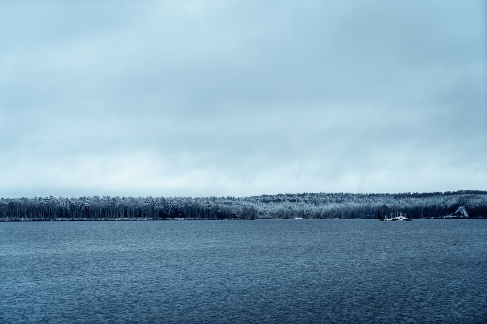 body of water near trees under white clouds during daytime