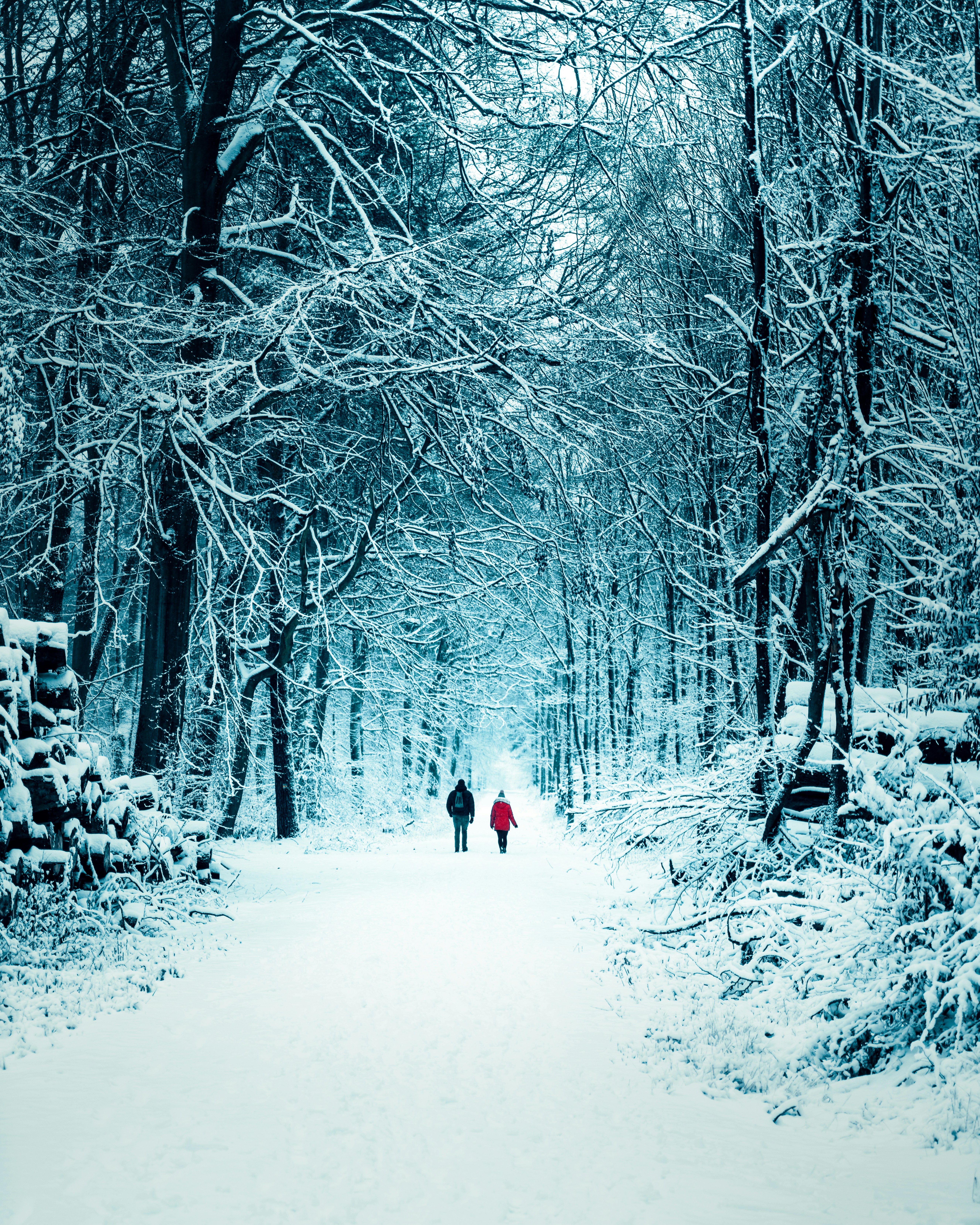 Photo by roccoronneburg