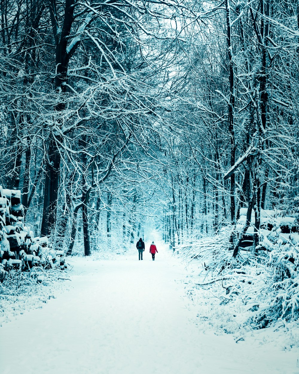 person in black jacket walking on snow covered road