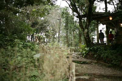 A serene forest setting with a traditional ayahuasca ceremony in progress at dusk.