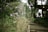 A serene forest setting with a narrow, stone pathway leading uphill through lush greenery. Two figures are seen standing near a wooden structure surrounded by trees. The scene is peaceful and enveloped in natural light, creating a tranquil atmosphere.