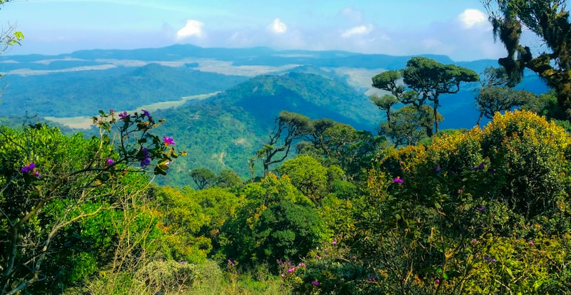 Nuwara Eliya