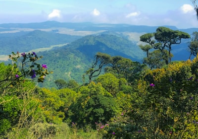 Sri Lanka Rundreisen Hochland Panoramablick