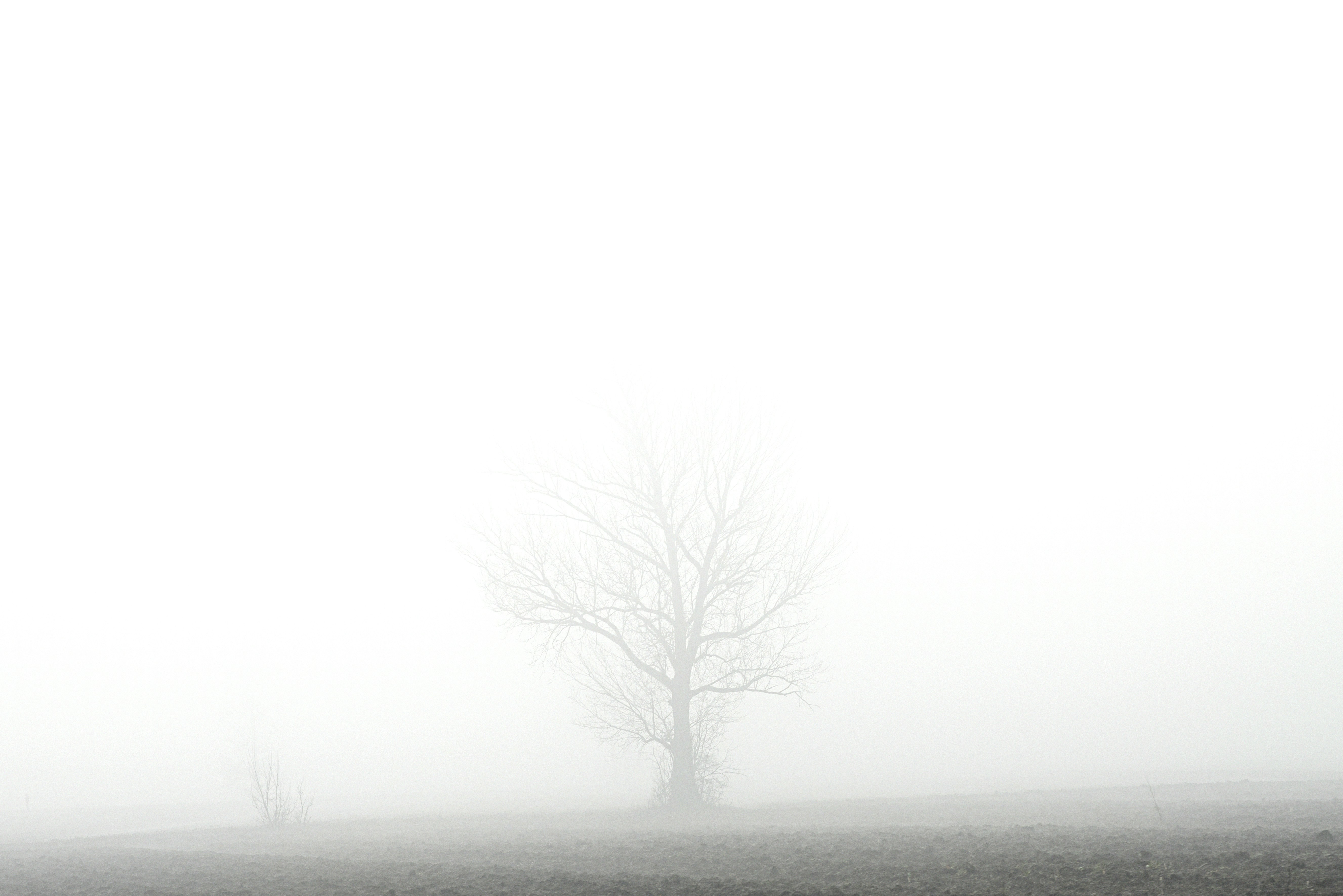 Photo by lauraadaiphoto