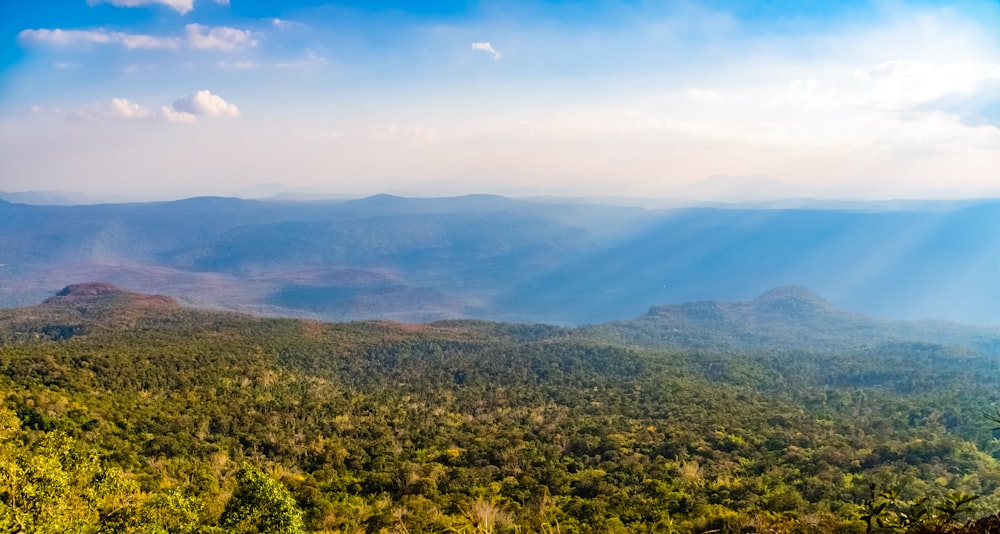 green trees and mountains during daytime