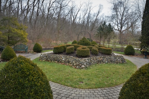 A well-maintained garden featuring circular trimmed hedges arranged on a raised stone planter. The garden is surrounded by a paved pathway bordered by symmetrical shrubs. In the background, a dense cluster of leafless trees creates a natural barrier. A green bench can be seen on the left side.