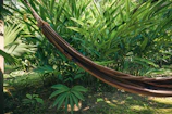 Sunlit hammock on a wooden deck overlooking dense jungle foliage.