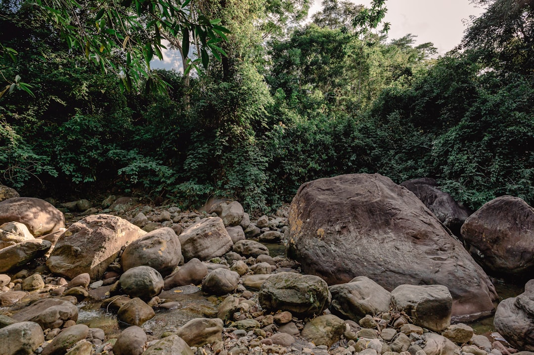 brown rocks on river during daytime