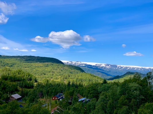 A vast green landscape of forested hills stretches towards snow-capped mountains under a bright blue sky scattered with white clouds. Small houses with red and brown roofs are nestled among the trees, adding a human element to the natural scenery.