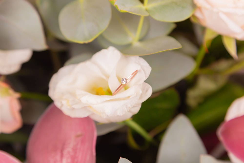 white flower with green leaves