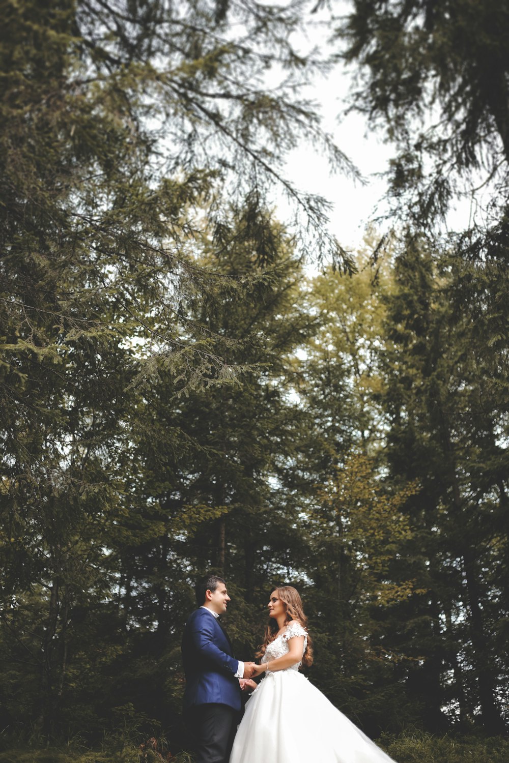 uomo e donna in piedi vicino agli alberi verdi durante il giorno