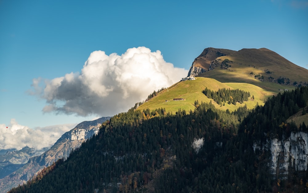 green trees on mountain under blue sky during daytime