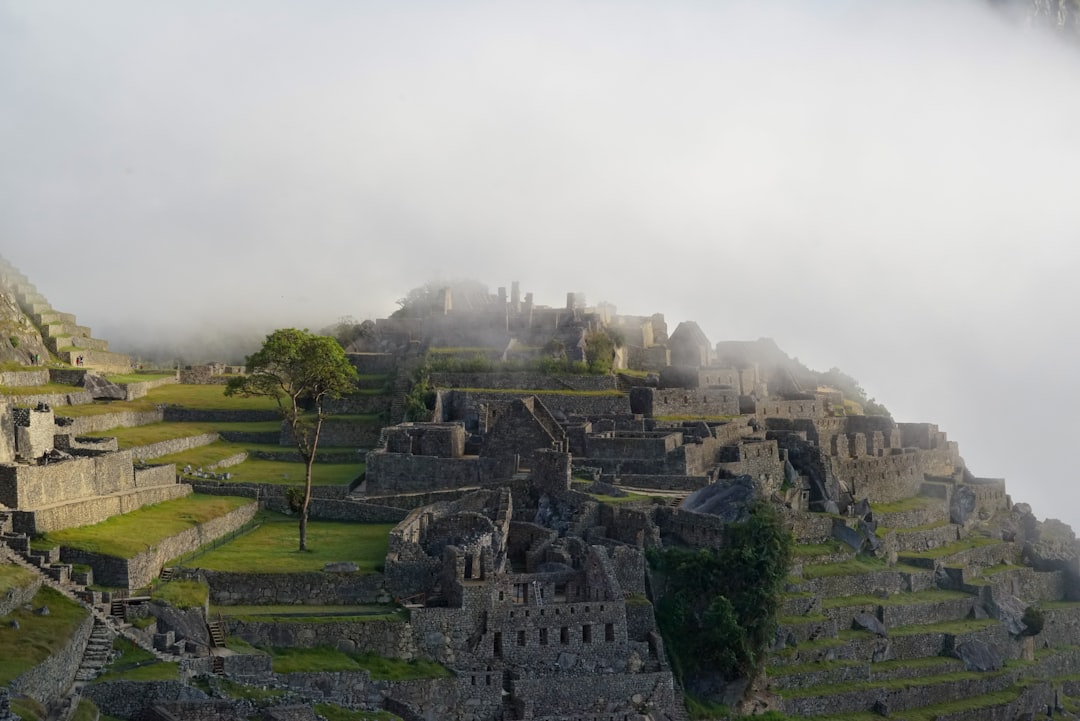 From Mayan Ruins to the Beach:All Aboard! Exploring Mexico's Scenic… — From Mayan Ruins to the Beach